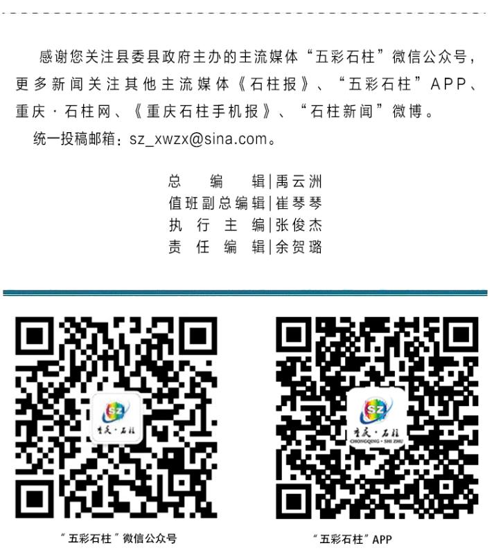 重庆高速违章网上交罚款,重庆高速违章几天能查到