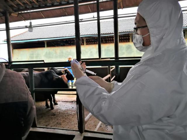 早安！乌兰察布（2020/08/07）