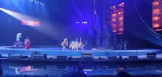 长隆乐园欢乐世界,广州长隆游玩关注事项