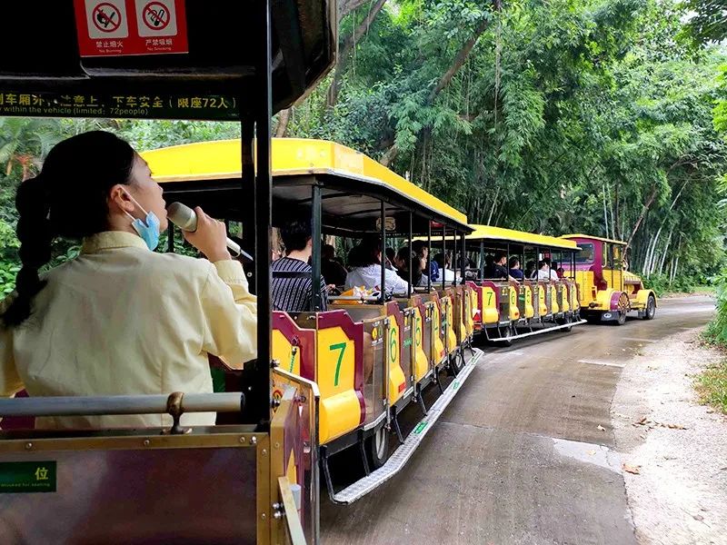 长隆乐园欢乐世界,广州长隆游玩关注事项