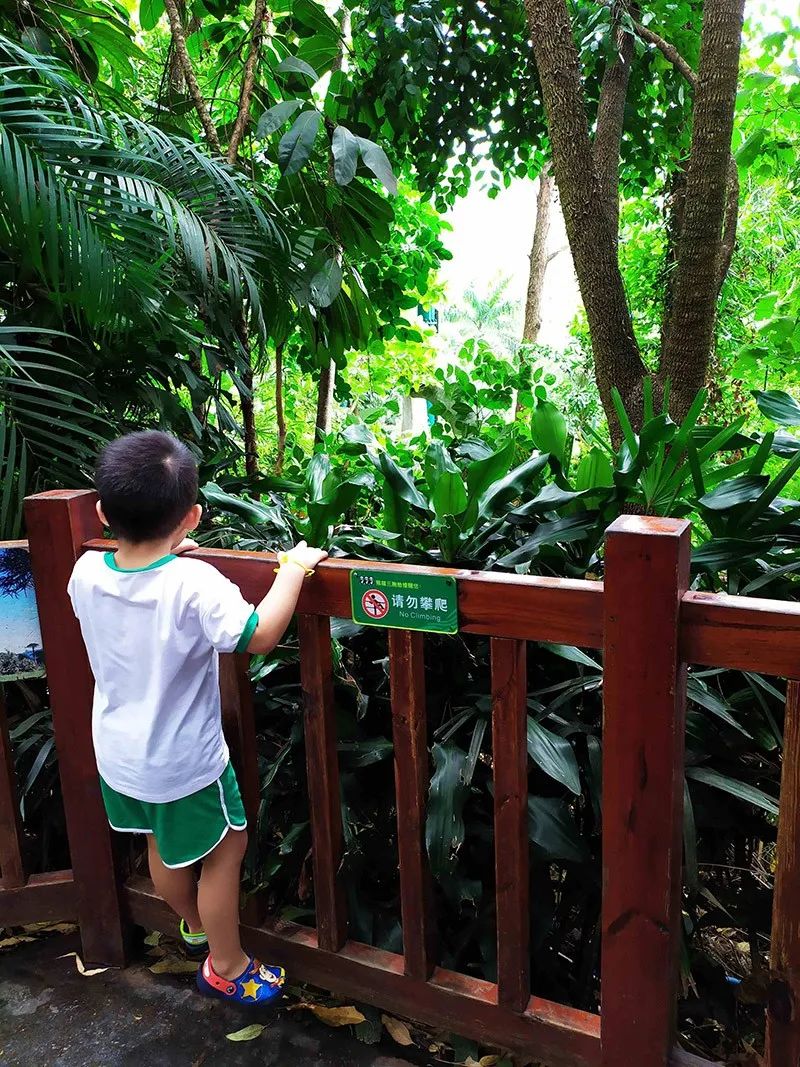 长隆乐园欢乐世界,广州长隆游玩关注事项