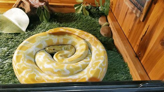 长隆乐园欢乐世界,广州长隆游玩关注事项