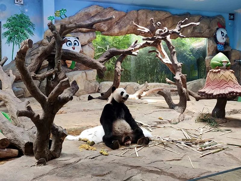 长隆乐园欢乐世界,广州长隆游玩关注事项