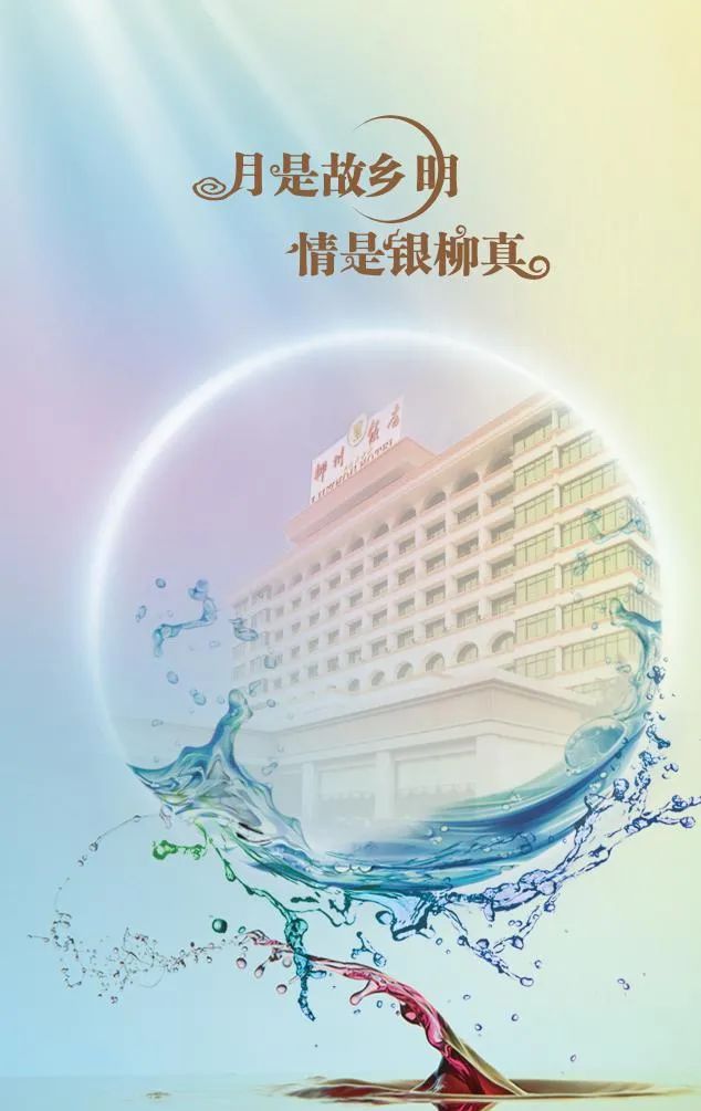 柳州饭店银柳月饼宣传单矢量图,柳州银柳食品有限公司银柳月饼