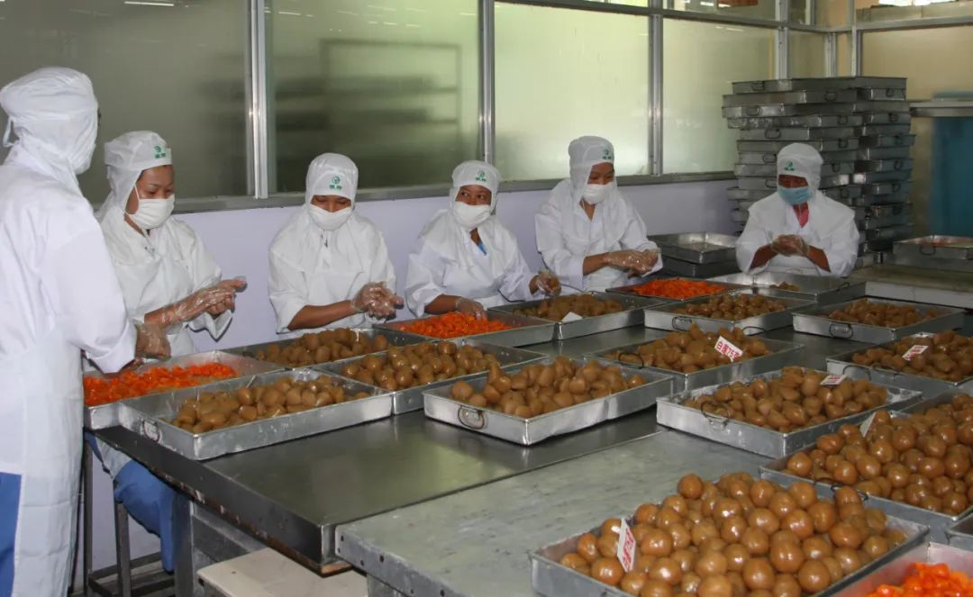 柳州饭店银柳月饼宣传单矢量图,柳州银柳食品有限公司银柳月饼