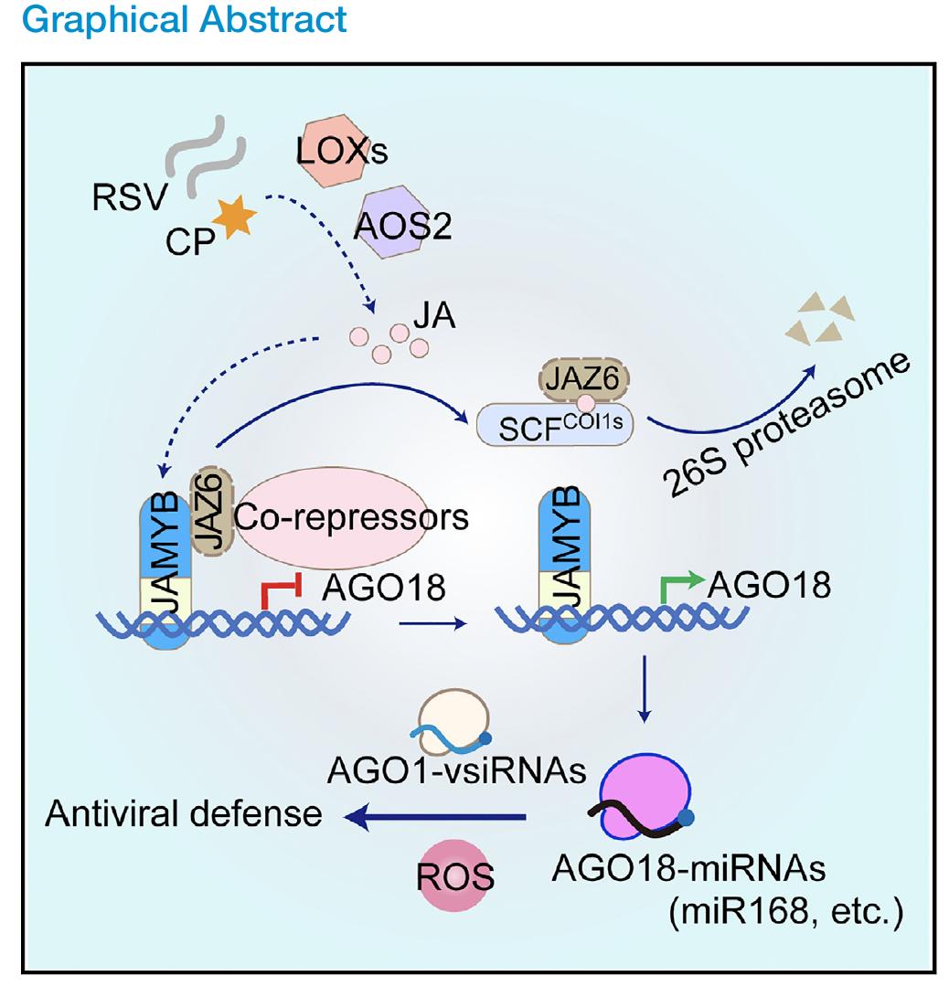 北京大学硕士学位评定委员会,北京大学学士学位评定委员会