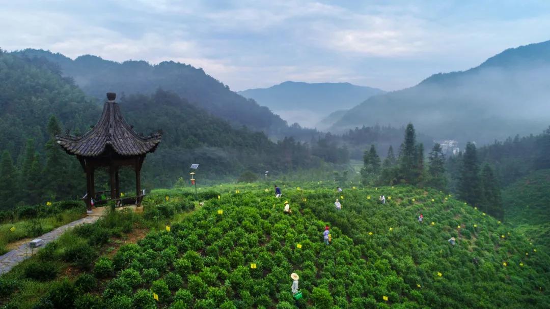 红光村简介,红光农村