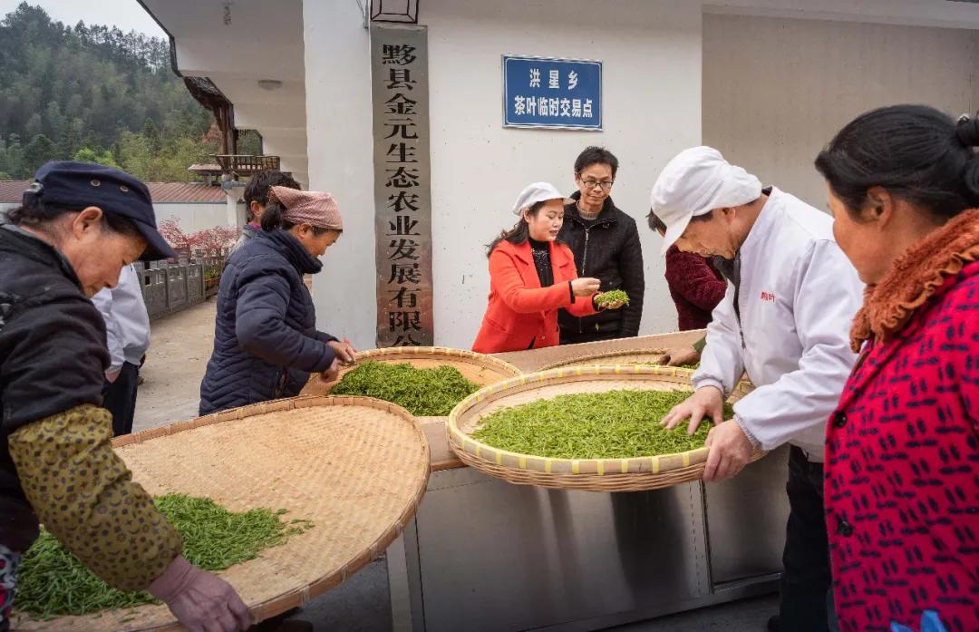 红光村简介,红光农村