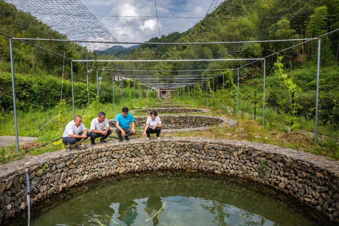 红光村简介,红光农村