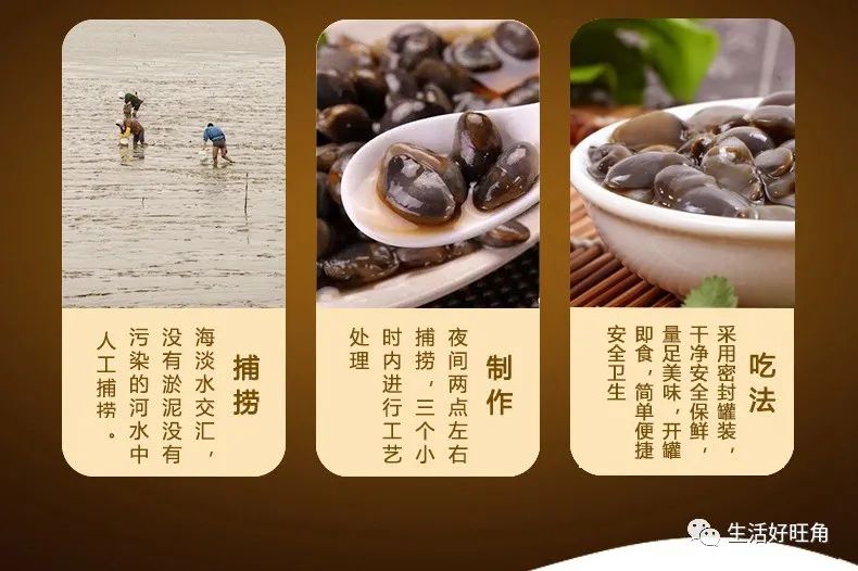 醉螺和黄泥螺哪个好吃,盐城泥螺醉蟹