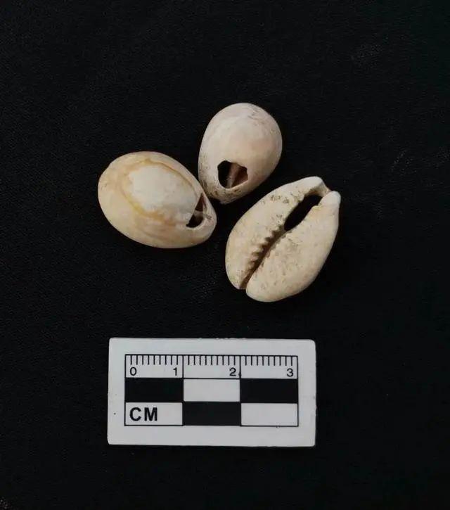 中学足球场发现石棺墓,成都足球场古墓发掘