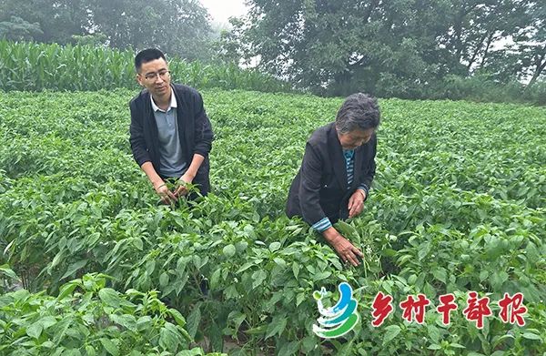 风采|陕西省陇县焦家坡村第一书记王宏：老槐树下演绎精彩扶贫故事