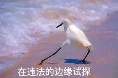 留学生带行李被判死刑,留学生携带玳瑁获刑