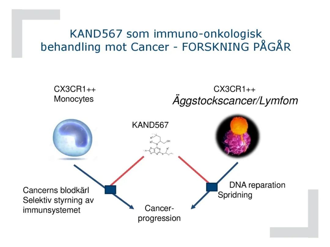 瑞典新冠肺炎特效药研发,德国研制的新冠肺炎药物