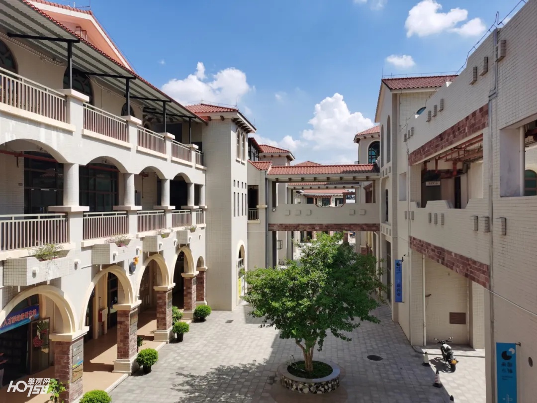 肇庆又火了！数据亮丽，大牌抢驻……这波好「钱」景，你懂得抓住吗？