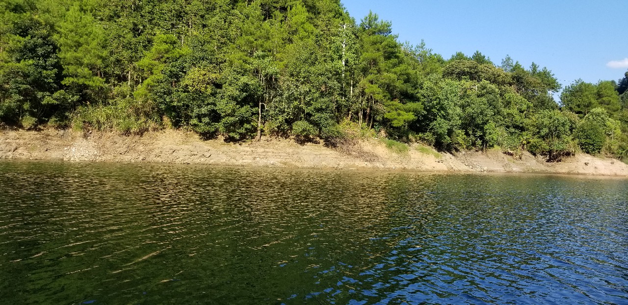 鱼没钓到还把诱饵吃了,鱼没钓到雨还下大了