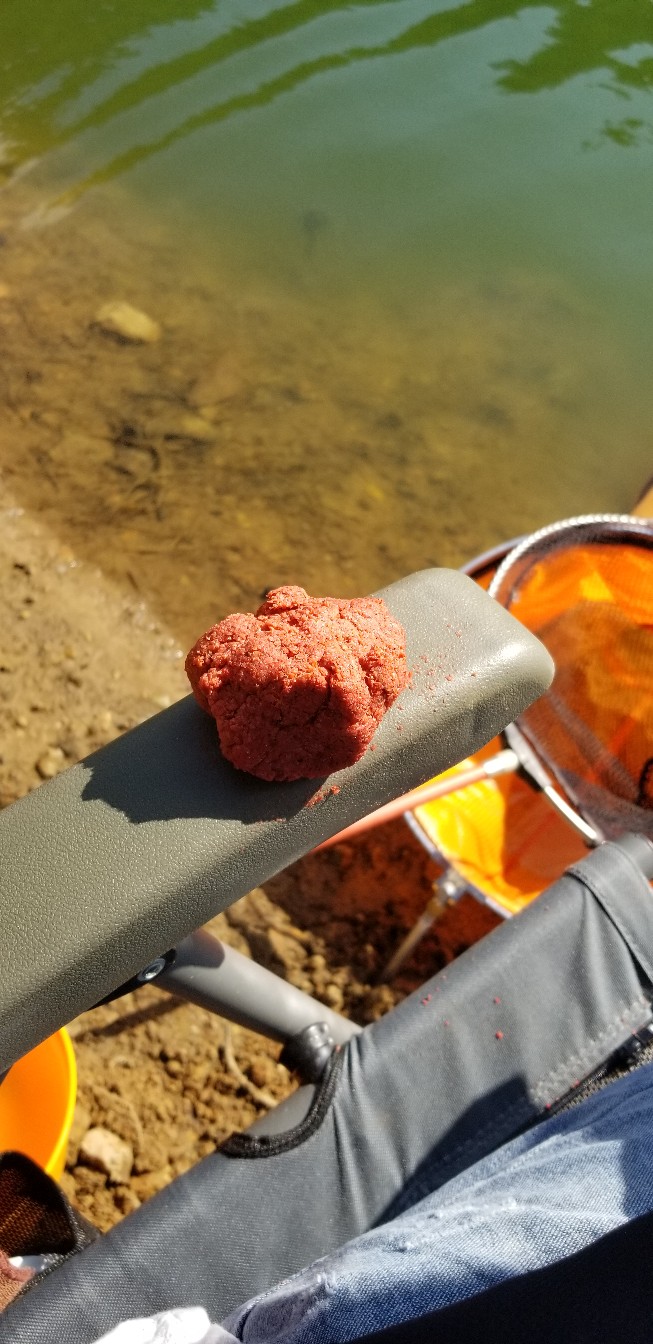 鱼没钓到还把诱饵吃了,鱼没钓到雨还下大了