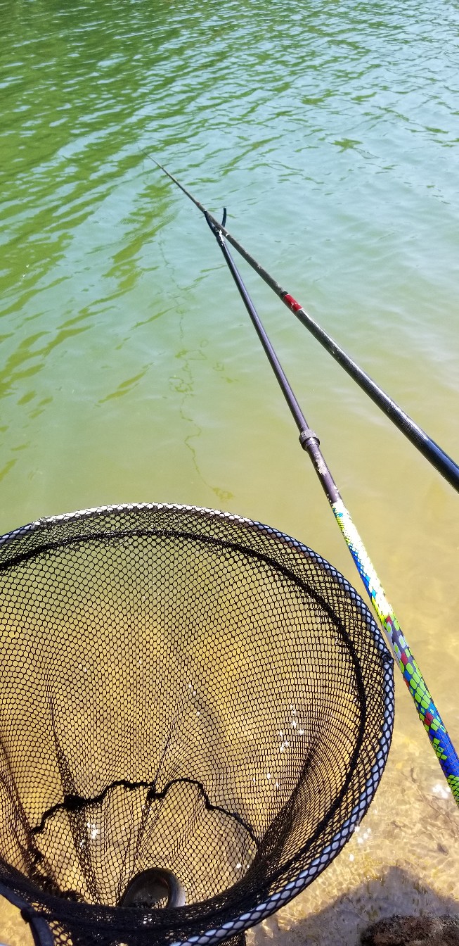 鱼没钓到还把诱饵吃了,鱼没钓到雨还下大了