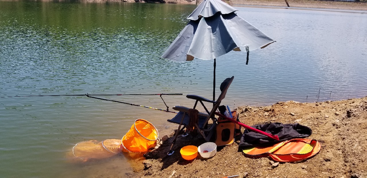 鱼没钓到还把诱饵吃了,鱼没钓到雨还下大了
