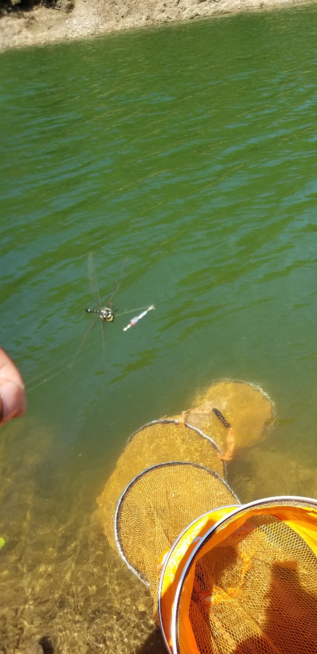 鱼没钓到还把诱饵吃了,鱼没钓到雨还下大了