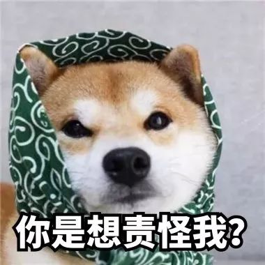 现实中的山顶洞人,中国大学生为什么混日子