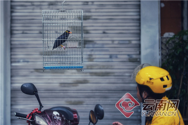 「Vlog·探路」文化巷文林街：照亮昆明城的文艺明珠