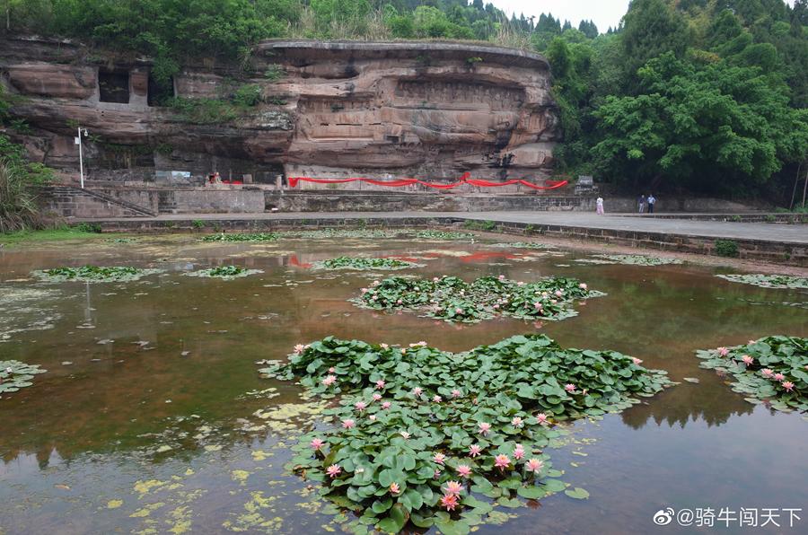 好消息，成都到资阳将通地铁！未来逛被遗忘的“石窟佛国”、资阳版“马尔代夫”更方便啦