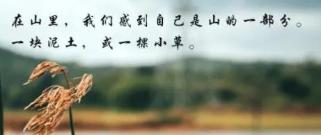 每日好诗创作,每日好诗歌朗诵