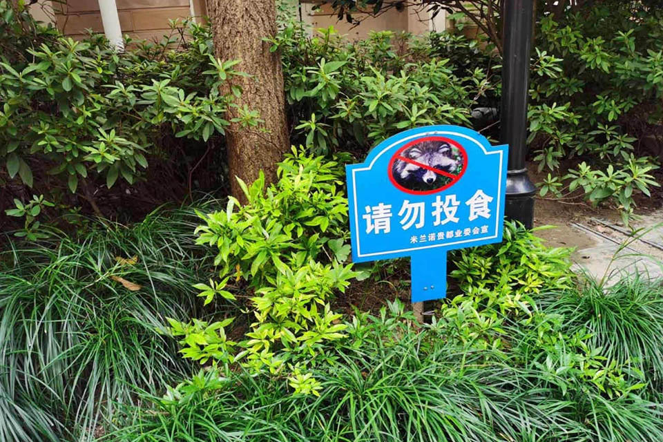 从人貉之争到人貉之和——城市野生动物应被投喂吗？