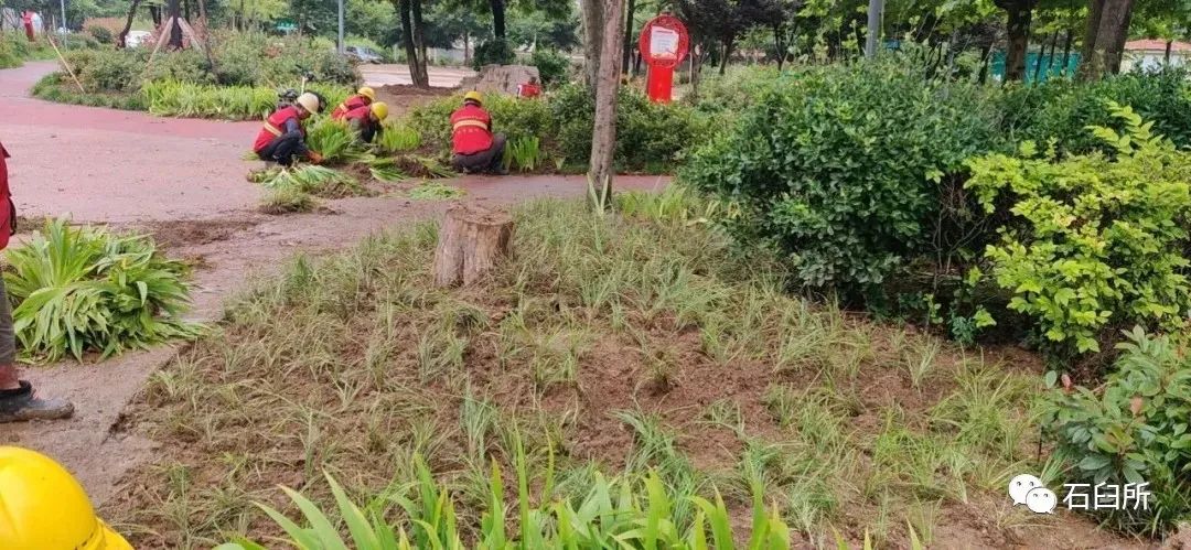 精雕细琢玉石魅力,精雕细琢完美显现