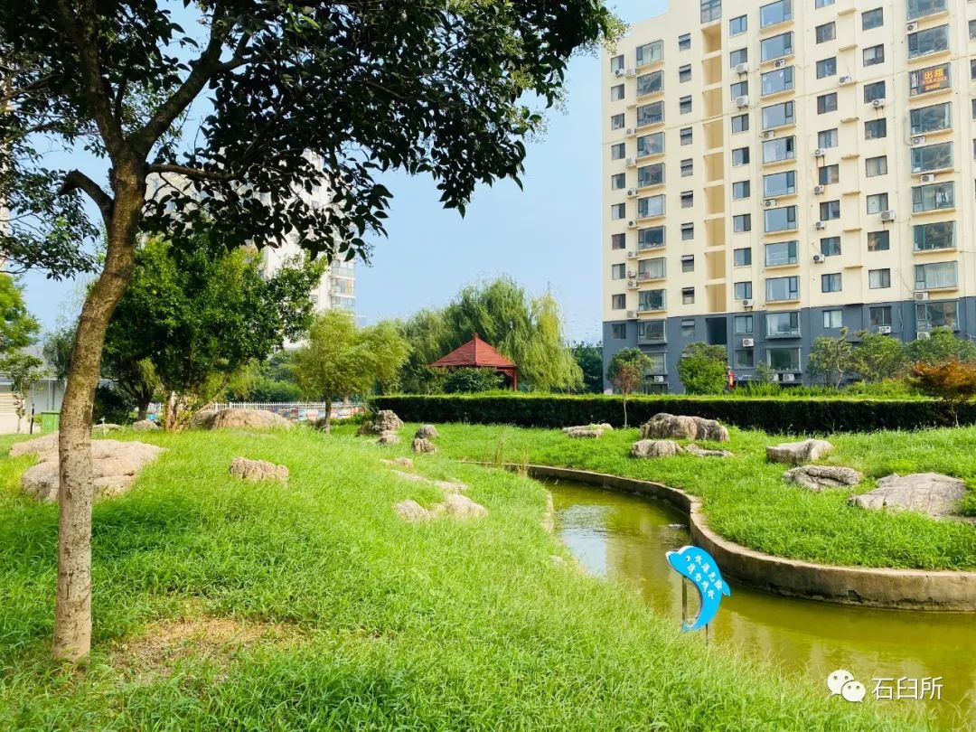 精雕细琢玉石魅力,精雕细琢完美显现