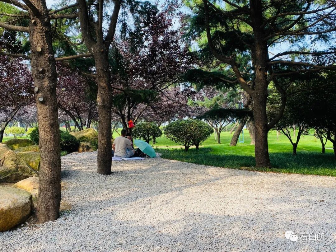 精雕细琢玉石魅力,精雕细琢完美显现