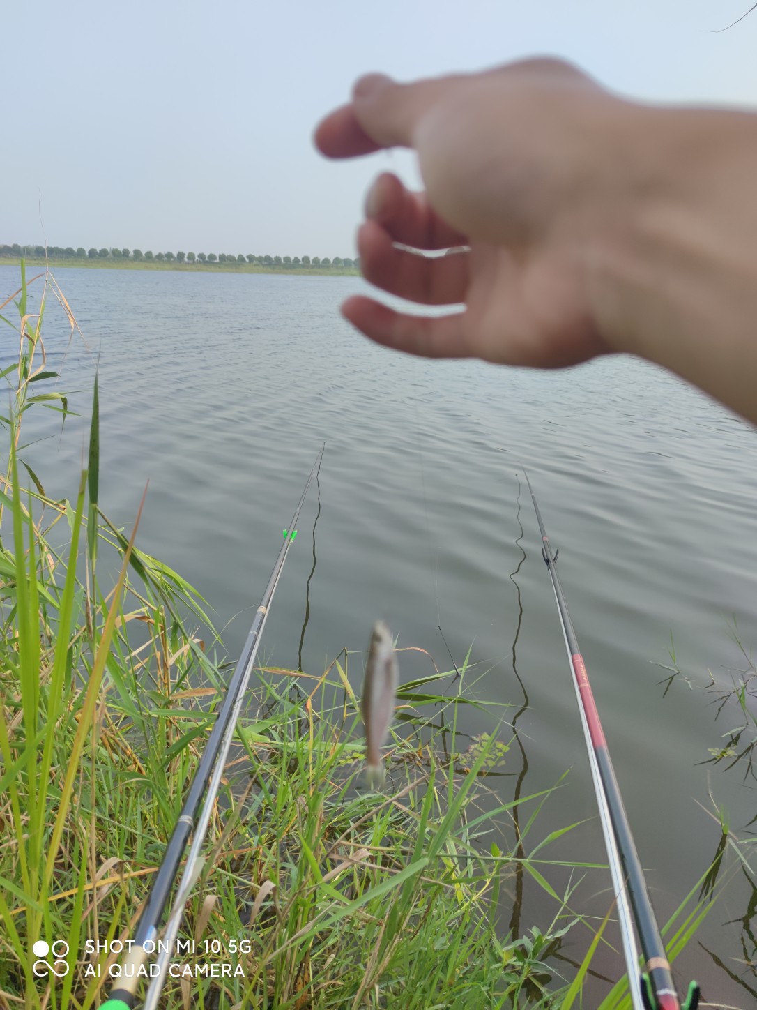 水底暗草多怎么解决,水底暗草多如何垂钓