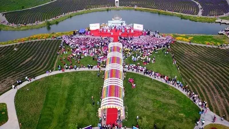 金昌薰衣草之约中式集体婚礼,一个人一座城一个清晨一个黄昏