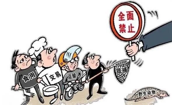 收购虎骨判刑标准,收购虎骨处罚标准