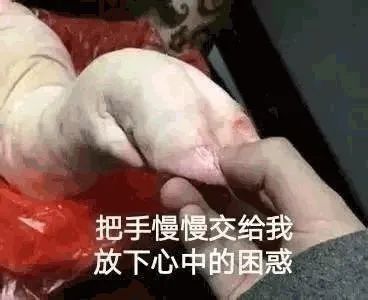 猪蹄和花胶哪个补胶原蛋白高,花胶跟胶原蛋白推荐一样吗