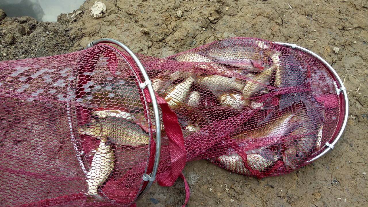 初探水库,初探千岛湖