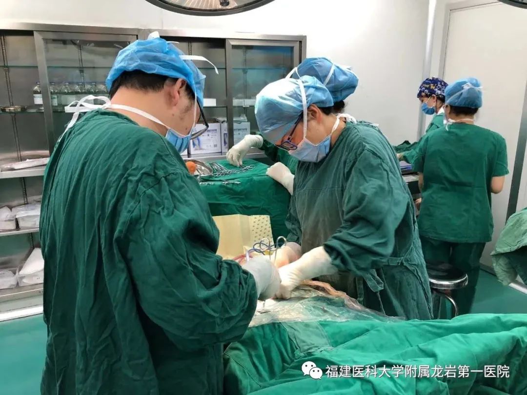 胎儿快出生在肚子里的样子,胎儿快出生在肚里的模样