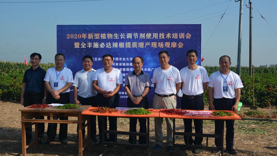 全丰施必达国光,辣椒叶面肥增产专用