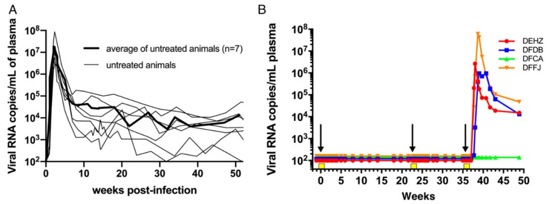 全球最佳的抗艾滋病药物,美国新药能够治疗艾滋病吗