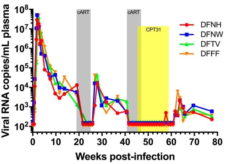 全球最佳的抗艾滋病药物,美国新药能够治疗艾滋病吗