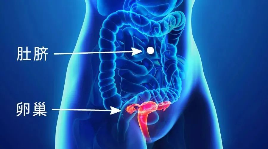 美容院的十大坑人项目,你不知道的美容院内幕是什么