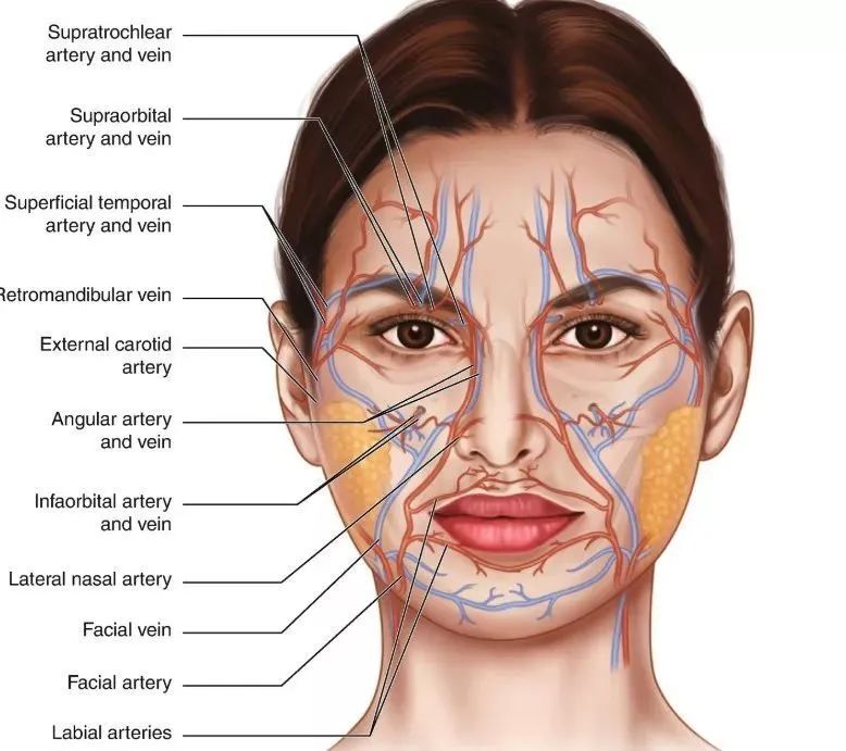 美容院的十大坑人项目,你不知道的美容院内幕是什么