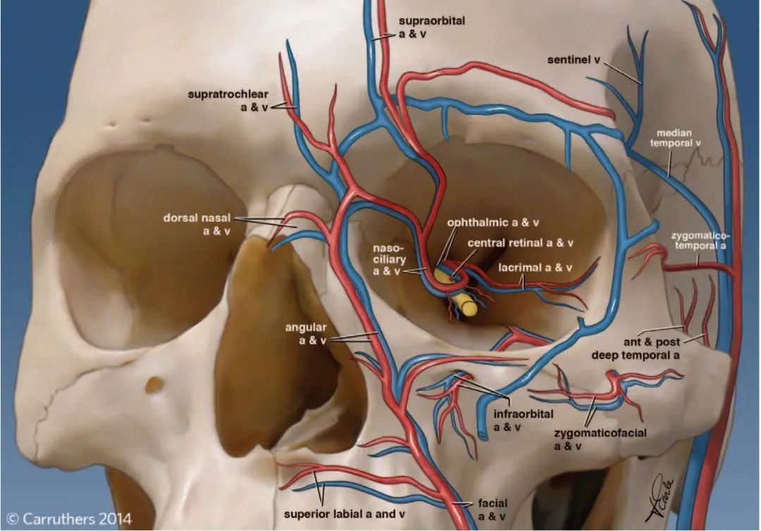 美容院的十大坑人项目,你不知道的美容院内幕是什么
