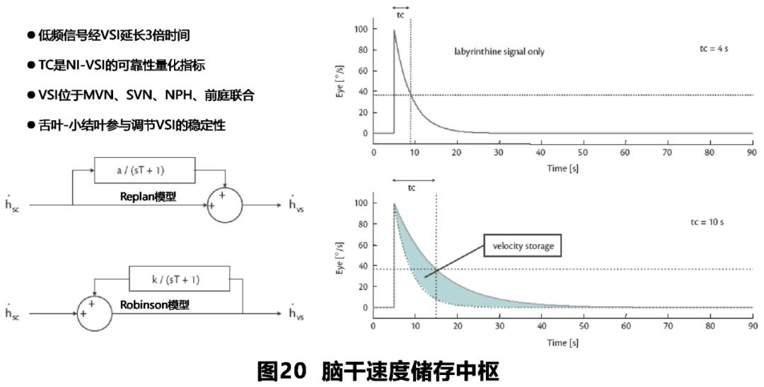 前庭性眩晕百科介绍,周围性眩晕和中枢性眩晕解剖基础