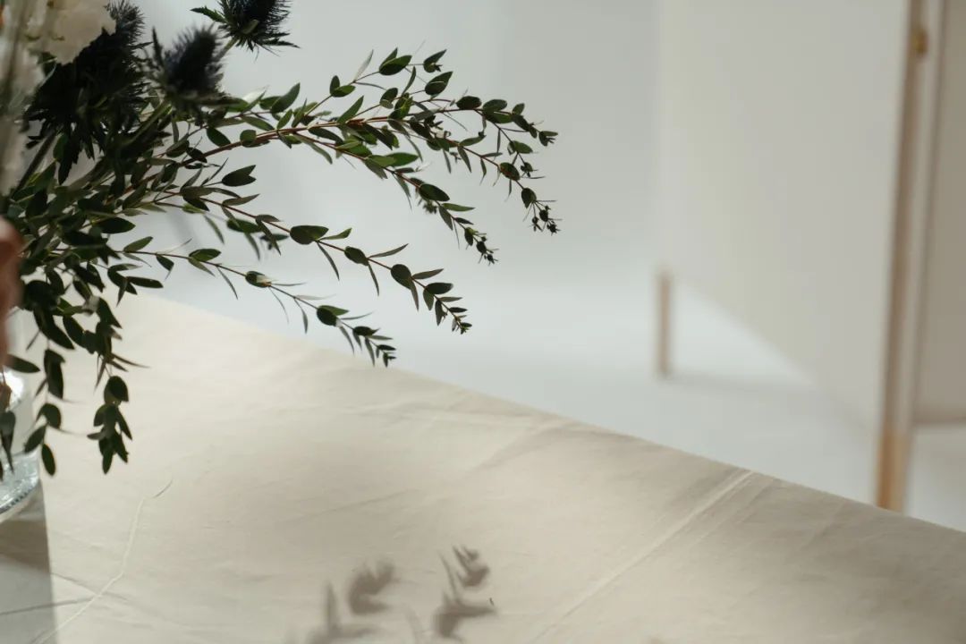 三苯氧胺的窘境|《更年期的智慧》第十三章第10节