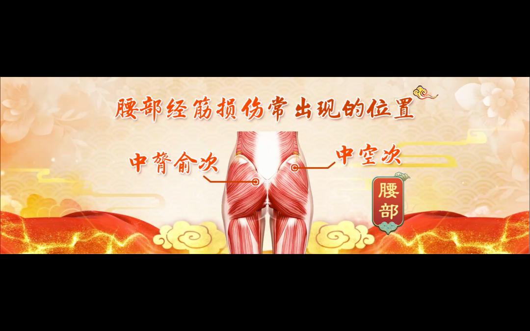 12月3日养生堂节目回放,养生堂视频疏利三焦护肾