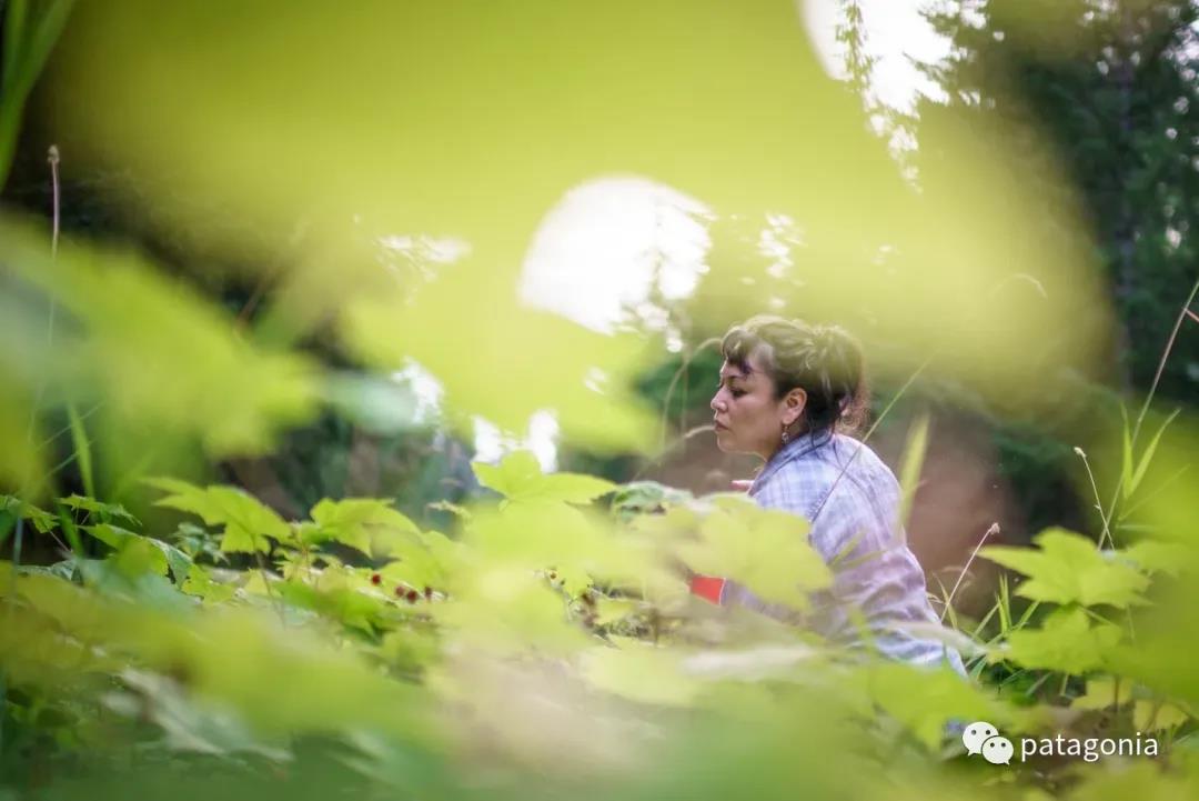 为什么Patagonia常年奔走于保护公共土地的战斗中？