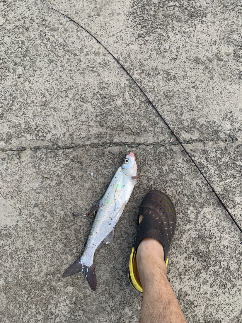 南海漂流怎么样,佛山海钓野钓