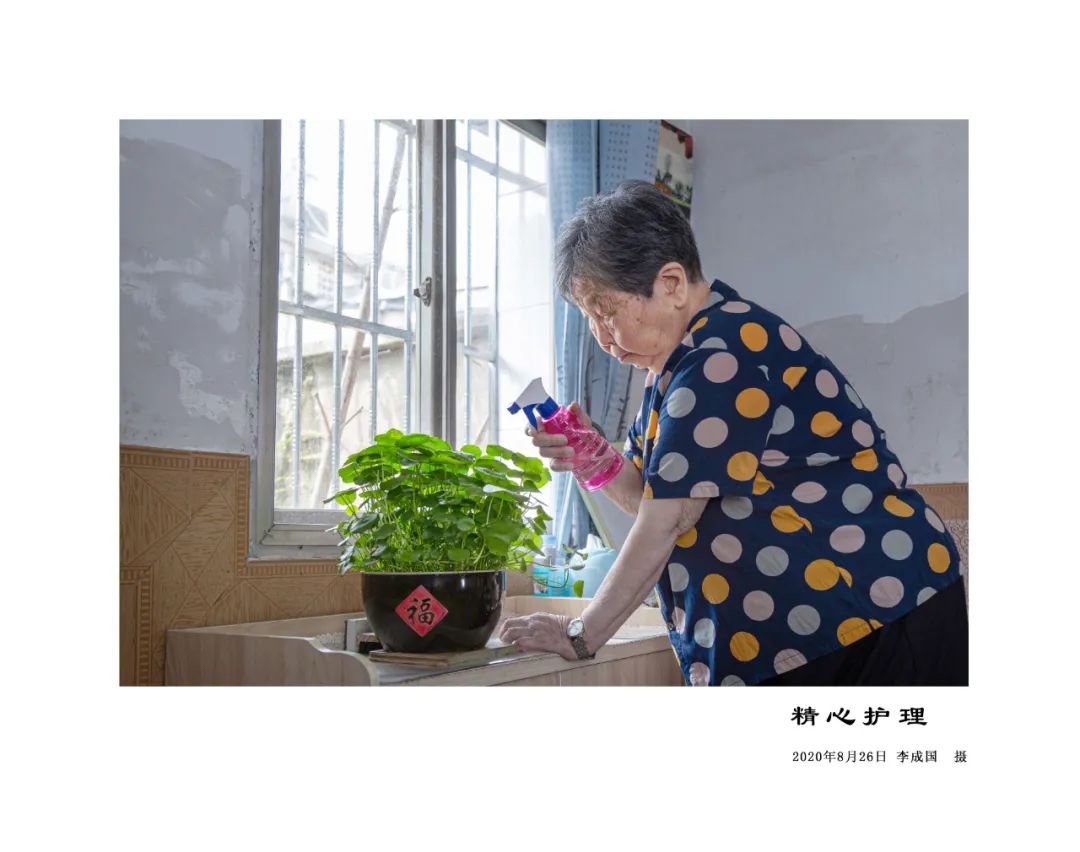 向全国各地老兵们致敬,向所有抗战老兵致敬的视频